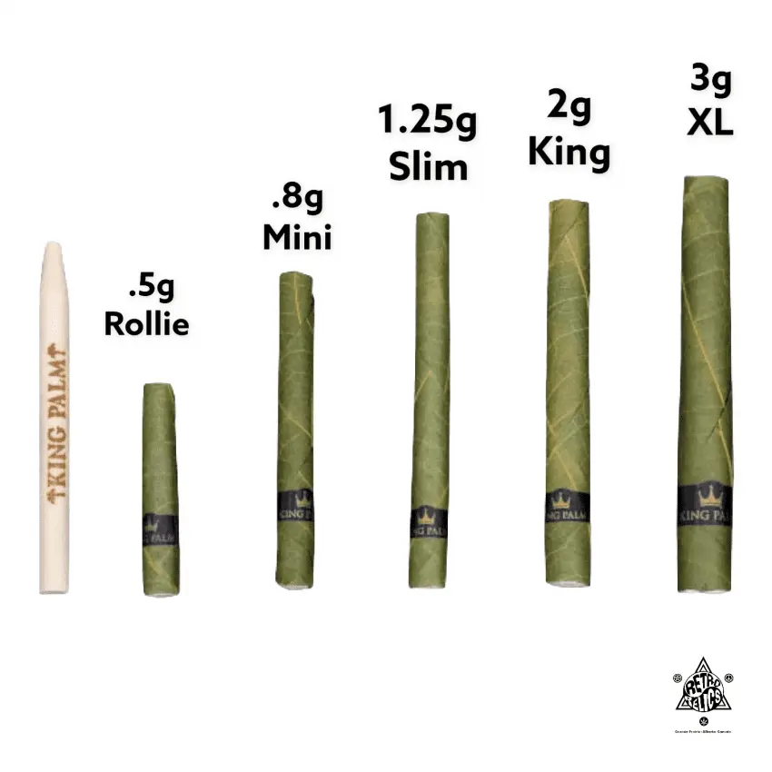 PhotoRoom_20220223_104519-850x850 (4).webp