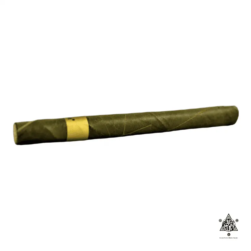 PhotoRoom_20220223_104157-850x850 (4).webp