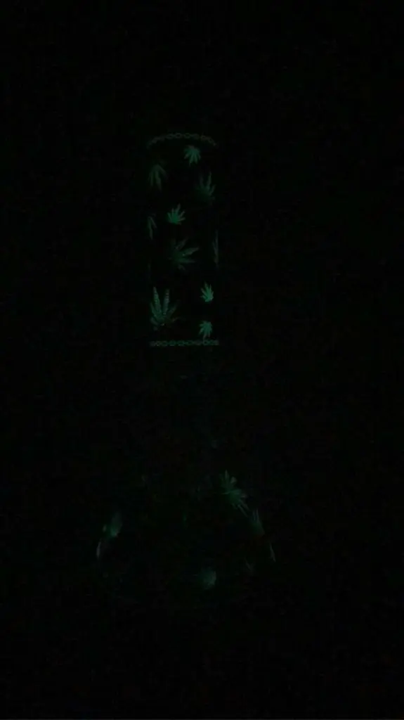 thumbnail_IMG_8347.webp