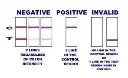 Hempstore_interpreting_urine_test_results.webp