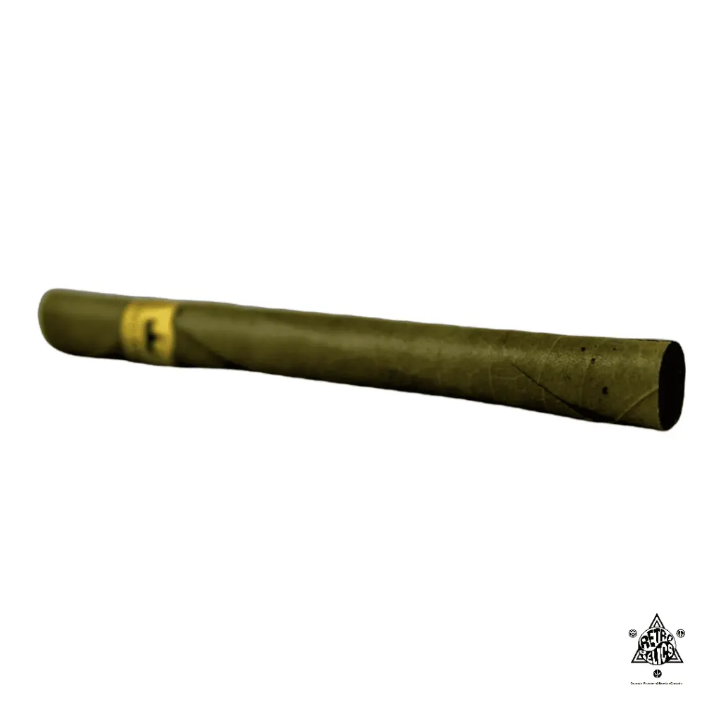 PhotoRoom_20220223_104207 (1).webp