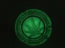 ASH-GLOW-2.webp