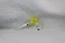 original_main_image