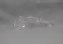 original_main_image