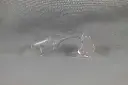original_main_image