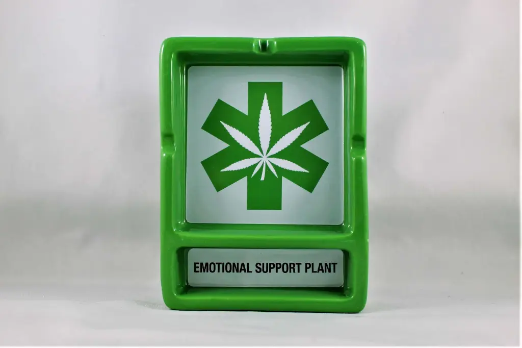 Ash Tray-Emotional Support Plant