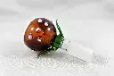 Piranha Flower Bowl - 14mm Male