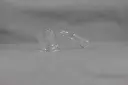 Pulsar Flat Top Quartz Banger-14mm Female 45°