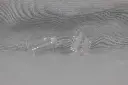 Thick Quartz Banger-19mm Female 45°