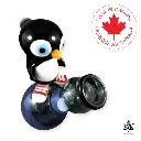 Iceberg Sneaker Penguin Concentrate Rig