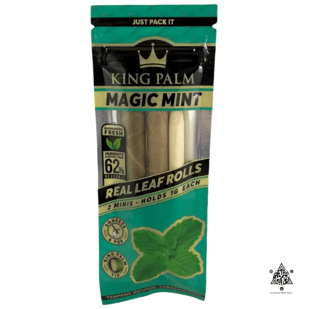 King Palm Mini - Magic Mint