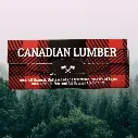 Canadian Lumber The Woods 1 ¼" + Tips