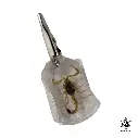 Roach Clip- Scorpion