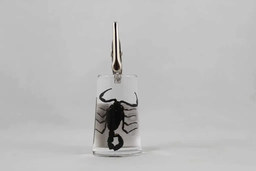 Roach Clip- Black Scorpion