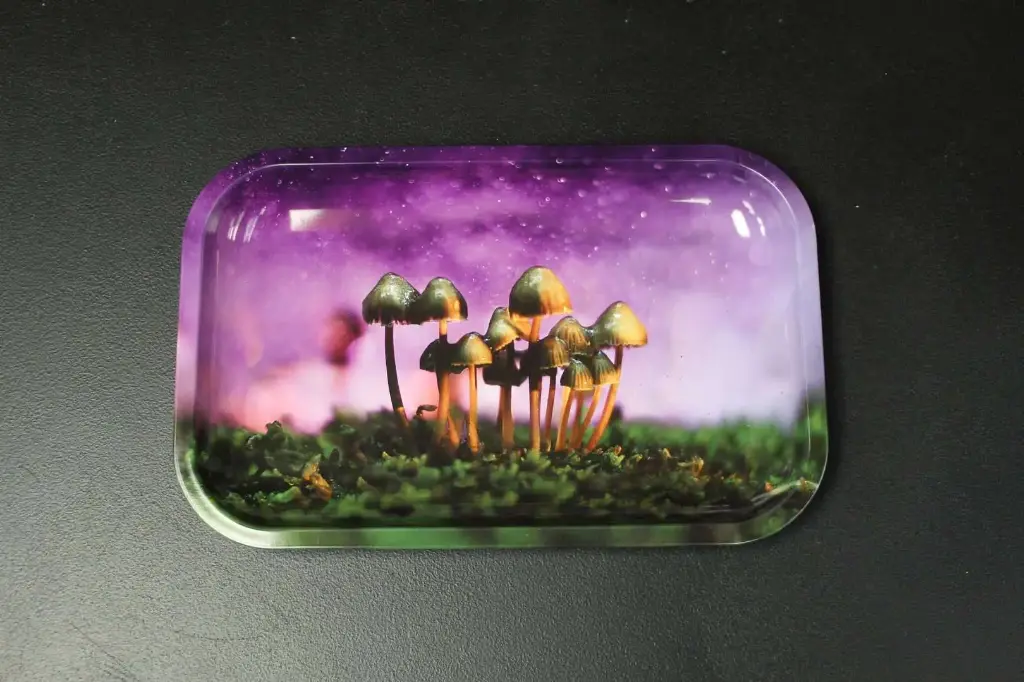 Pulsar Micro Mushrooms-Medium
