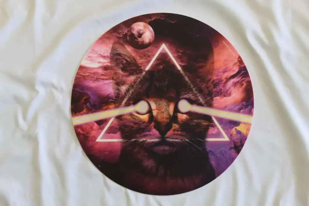 My Dab Mat-Kitty In Space