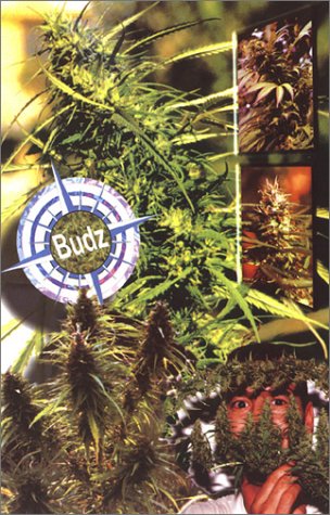 Marijuana Outdoors: Guerrilla Growing