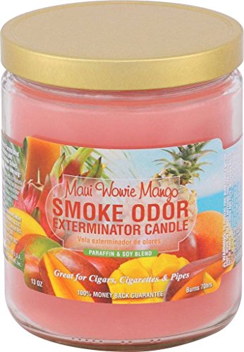 Smoke Odor Exterminator 13oz Jar Candle  Maui Wowie Mango 