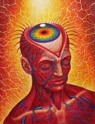 Alex Grey Prints- Large