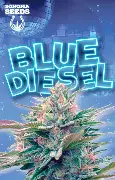 Sonoma Seeds- Blue Diesel- Auto Flower