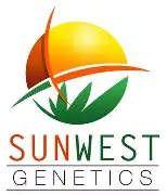 Sun West Genetics- Sweet Tooth- Auto Flower