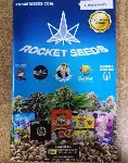 Rocket Seeds- Cheeze Wiz