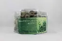 Natural Back Flow Incense-Green Tea