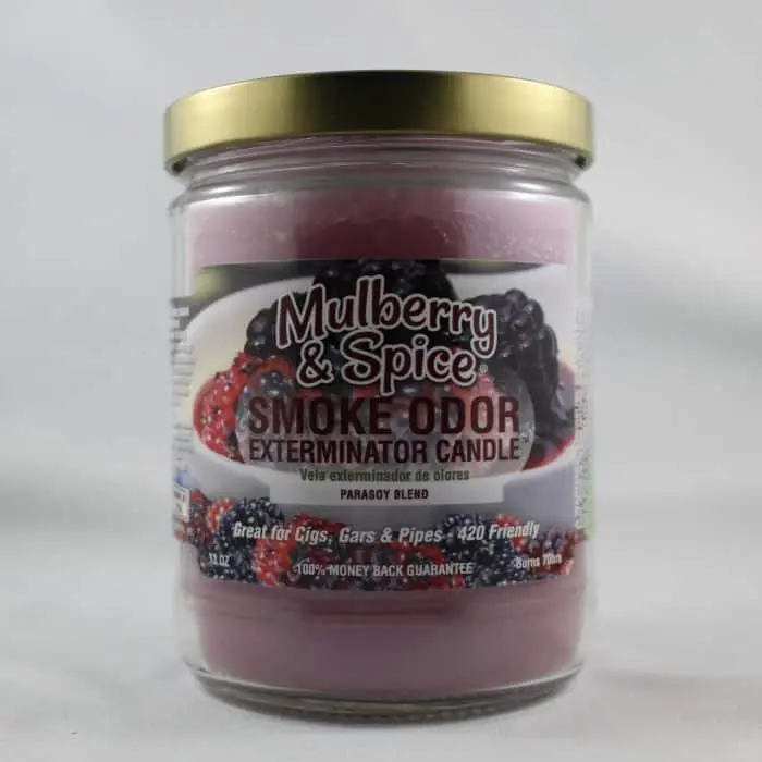 Smoke Odor Candle- Mulberry & Spice