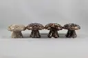 Incense Holder-Mushrooms