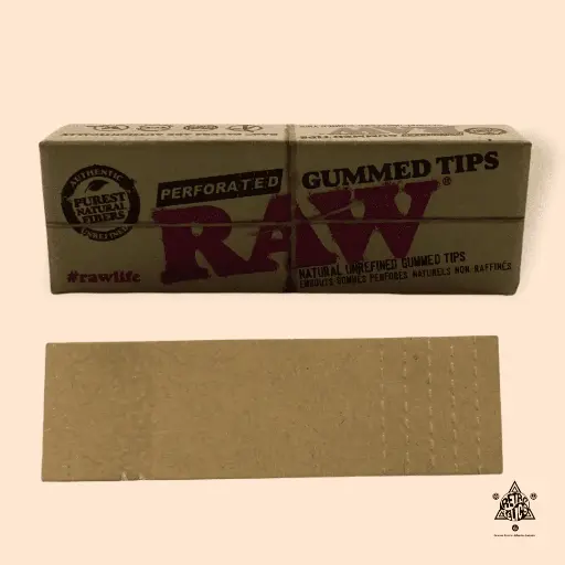 Raw Perforated  Gummed Tips