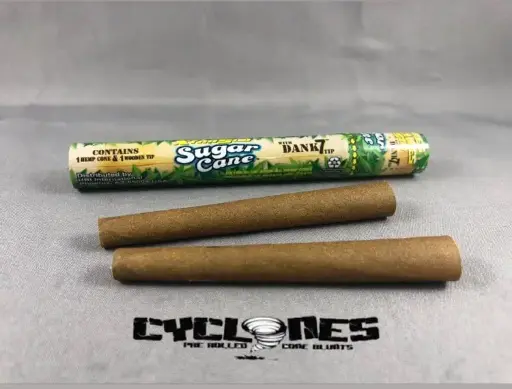 Cyclones Hemp Cones- Sugarcane