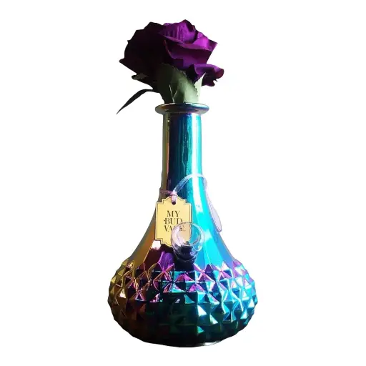 My Bud Vase- Aurora Water Pipe