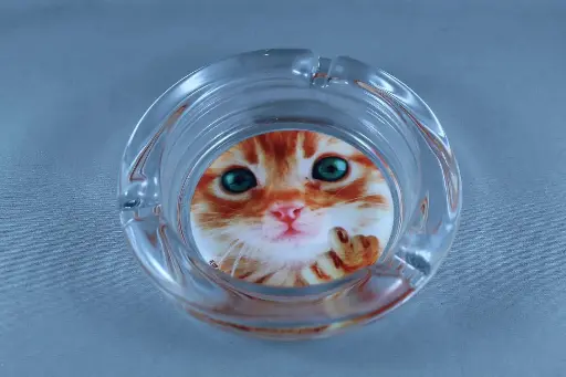 Stonerware Glass Ash Tray's