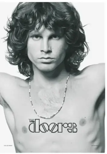 Flag-The Doors