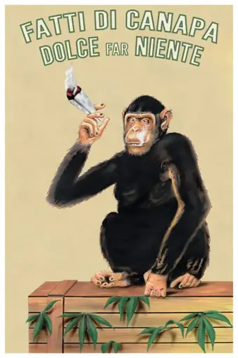 Regular Poster-Fatti Di Canapa