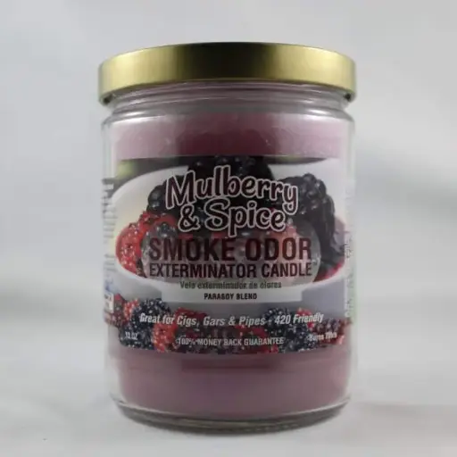 Smoke Odor Candle- Mulberry & Spice