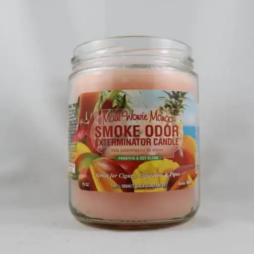 Smoke Odor Candle- Maui Wowie Mango